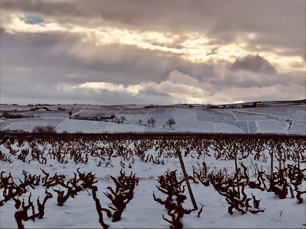 La Boheme, Gite De Charme Quincie-en-Beaujolais Ngoại thất bức ảnh